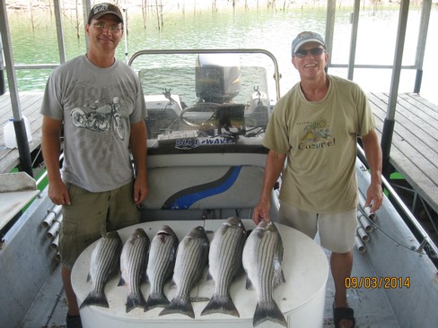 Nice Striped Bass